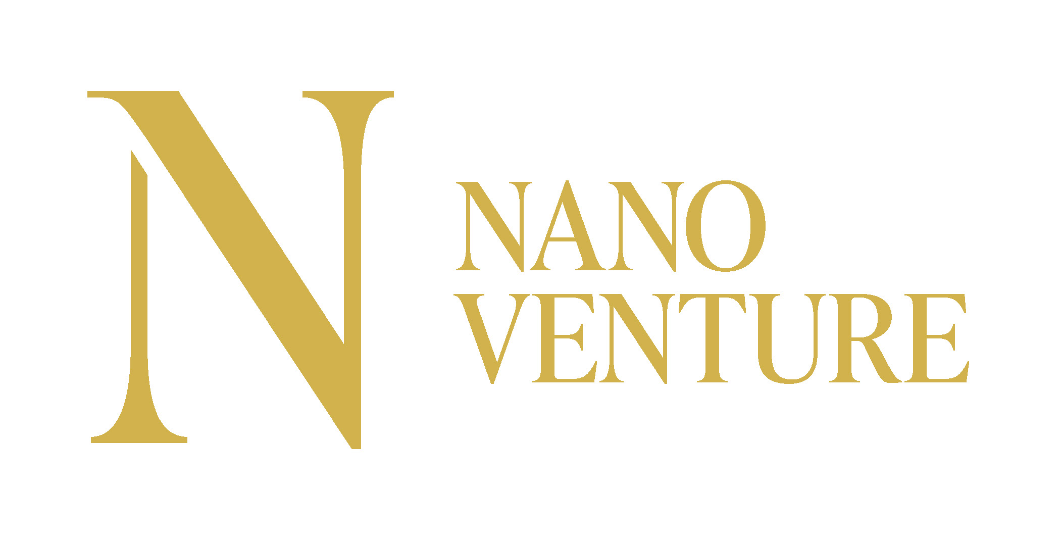 Nano Venture Logo